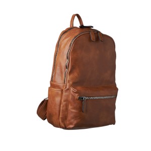 Men's Synthetic Backpack (1689)